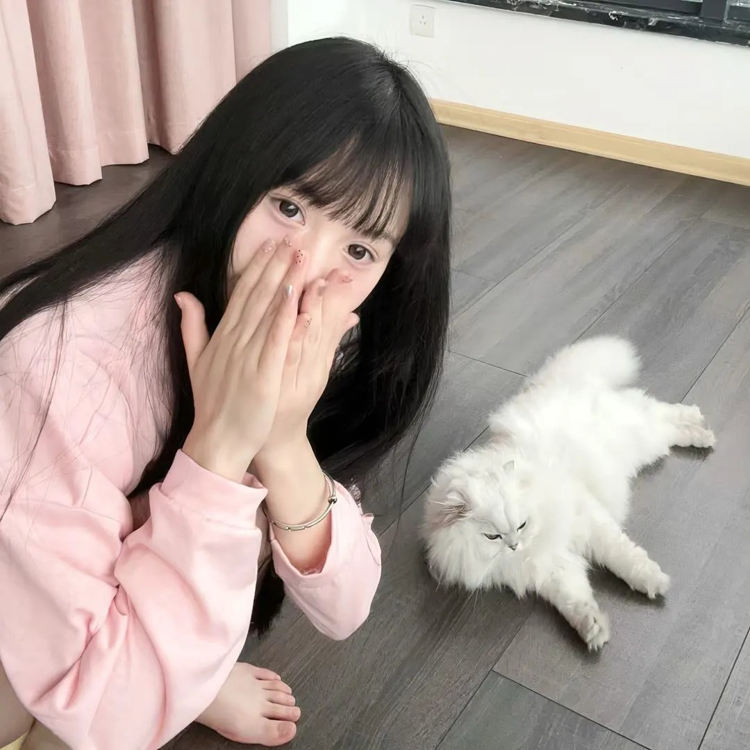 龙心战纪